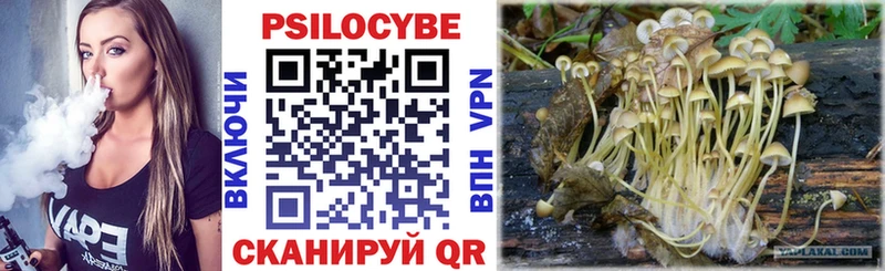 Псилоцибиновые грибы мицелий  Благовещенск 